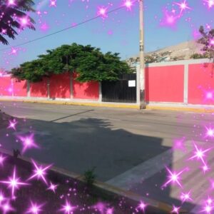 319 I.E.I Estrellitas Del Saber. — foto