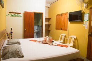 Amazon House Hostel — foto