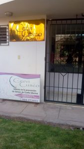 CerviCusco — foto