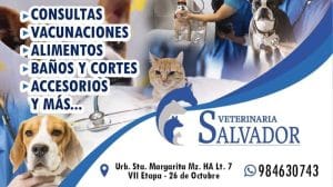 Clínica Veterinaria Salvador — foto