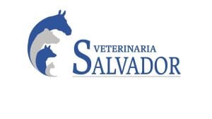 Clínica Veterinaria Salvador — foto