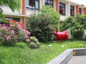 Colegio Pestalozzi — foto