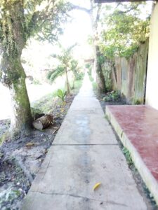 Colegio Primaria Rumo Cocha — foto