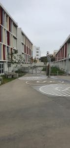 College Precursors — foto