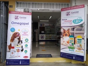 Convet – San Juan