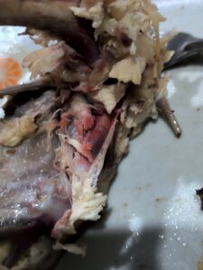 Corralito — foto