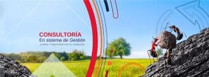 E-quelle Consultoría — foto