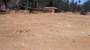 El Camping de Saños — foto