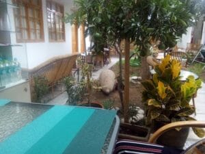 El Huerto Hostel — foto
