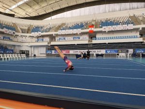 ESCUELA DE GIMNASIA OLIMPO — foto