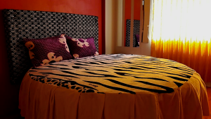 FANSY Hostal tematico — foto