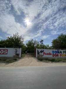 Fundo Doña Peta y Don Fernando — foto