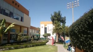 Gym International Club — foto