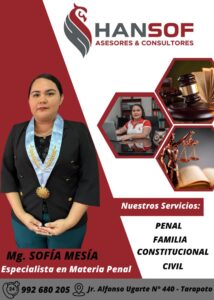 Hansof Asesores y Consultores — foto