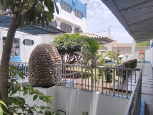 Hospital Felix Torrealva Essalud — foto