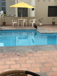 ibis Lima Larco Miraflores — foto