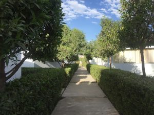 IE Gustave Eiffel Arequipa — foto