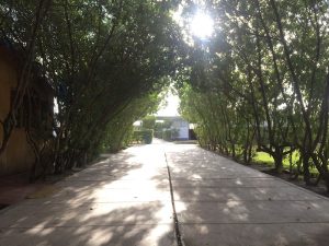 IE Gustave Eiffel Arequipa — foto