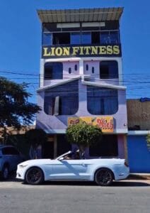Lion Fitness — foto