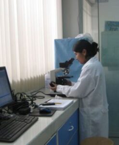 Medglobal — foto
