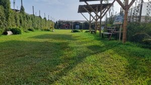 Mini granja interactiva *Rincón Rústico* — foto