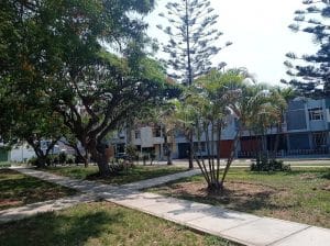 Nuestra Señora del Perpetuo Socorro School — foto