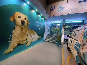 Pet’s Land Clínica Veterinaria — foto