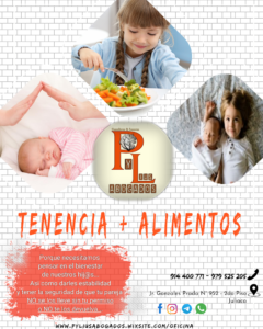 Pylius Abogados/Juliaca — foto