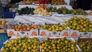 rinconada market — foto