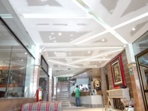 Rizzo Plaza Hotel — foto