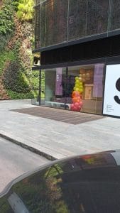 Siclo San Isidro — foto