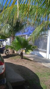SUNAT Pucallpa — foto