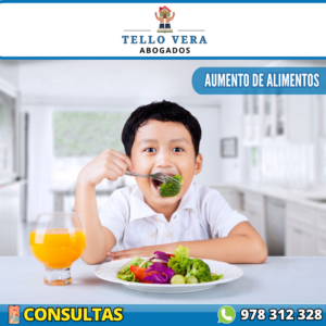 Tello Vera Abogados – Civil – Familia y Herencia — foto