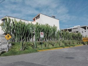 Texao Hotel — foto