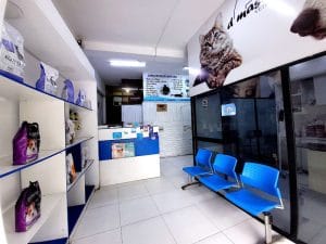 Veterinaria D Mascota – clínica veterinaria — foto